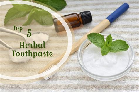 Best Herbal Toothpaste | Top 5 Herbal Toothpastes Online