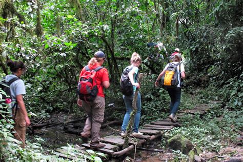 ADVENTURE TO KAKAMEGA FOREST – Flexible Tours Africa