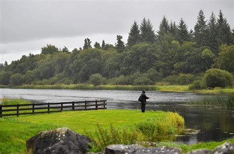 Weather experts say Ireland set for mild and dry first week of ...