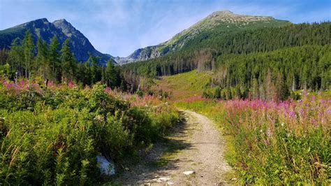 Alpine medow Strbske Pleso Vysoke Tatry Slovakia | Travel photos ...