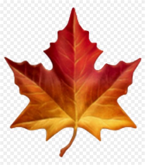 Maple Leaf Emoji , Png Download - Apple Maple Leaf Emoji, Transparent ...