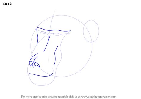 Learn How to Draw a Baboon Face (Wild Animals) Step by Step : Drawing Tutorials