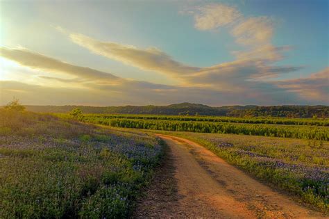 Dirt Road Sunset Photograph by Chuck Underwood