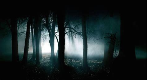 Dark Forest At Night – Paul English – Medium