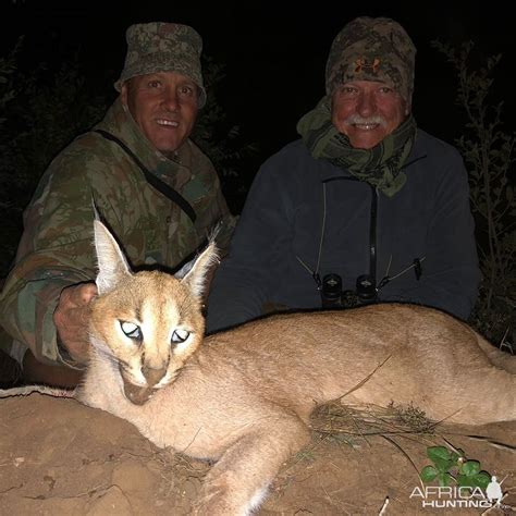 South Africa Hunt Caracal | AfricaHunting.com