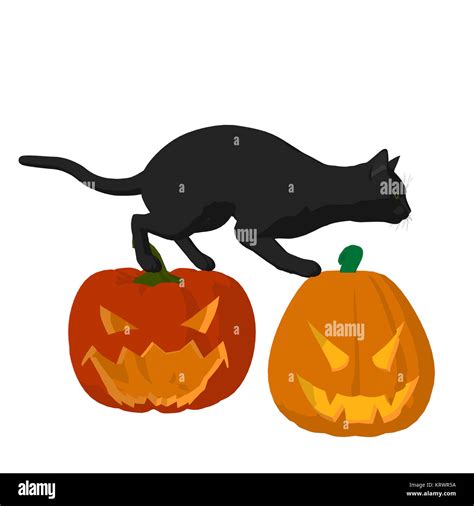 Black cat on a pumpkin on a white background Stock Photo - Alamy