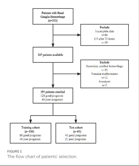 Figure 1 from Radiomics features from perihematomal edema for prediction of prognosis in the ...