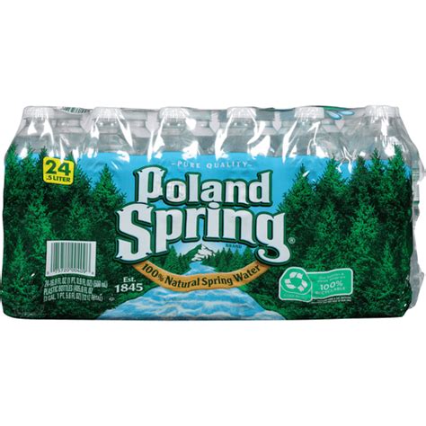 Poland Spring Water - 24 Pack | Spring Water | D'Agostino