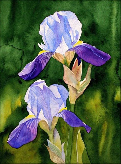 6614 best images about watercolor irises on Pinterest | Iris garden, White iris and Summer sale