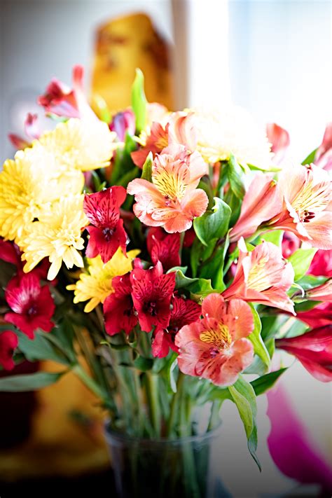 Easy And Convenient Ways To Send Flowers By Post - Flowers By Post