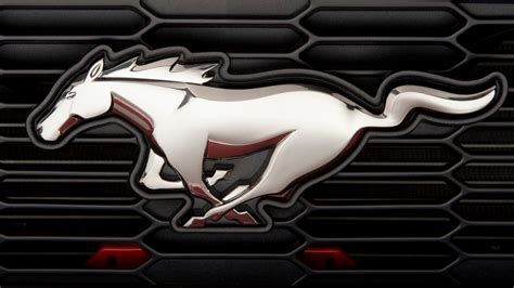 Mustang Horse Logo Car | ubicaciondepersonas.cdmx.gob.mx