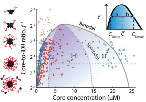 Fundamental Biophysics - Soft Living Matter Group