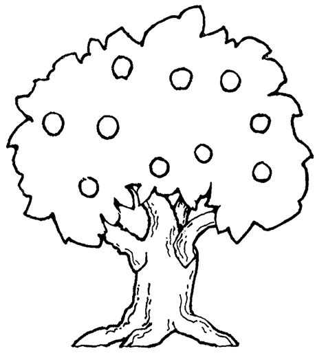 Tree Clipart Black And White Png - Upgrade Authorization | Boddeswasusi