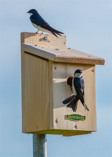 Time to start a family! photo from Kelly Davidson, Mt. View Sanitary ...