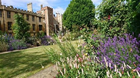 Lambeth Palace Garden Day | Data Thistle