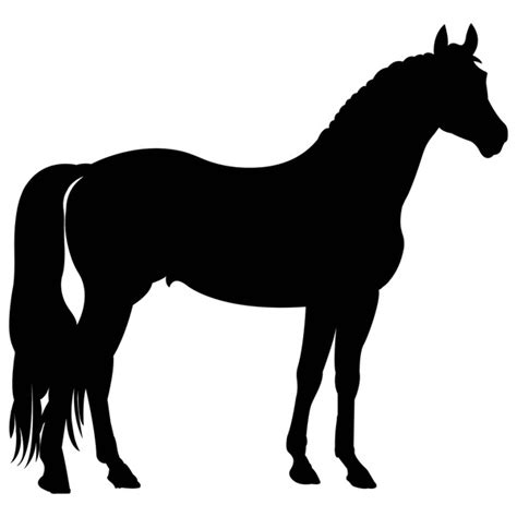 Arabian Horse Silhouette: Over 4,991 Royalty-Free Licensable Stock Vectors & Vector Art ...