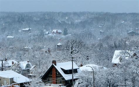 Winter in Ann Arbor, Michigan photo on Sunsurfer