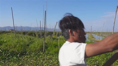 Floating Gardens on Inle Lake, Myanmar (Burma) Stock Video - Video of ...