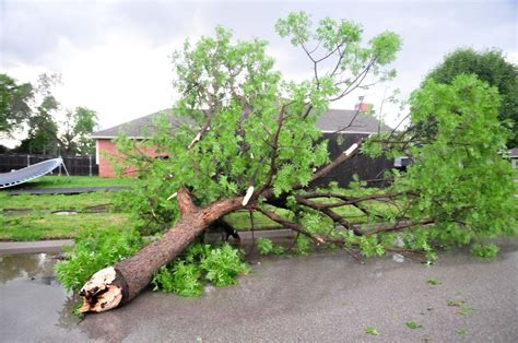 SLIDESHOW: Tornadoes, storms cause damage across Oklahoma | News | cnhinews.com