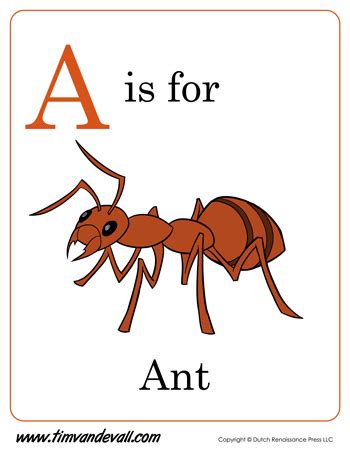 A is for Ant | Preschool Alphabet Printables - Tim van de Vall