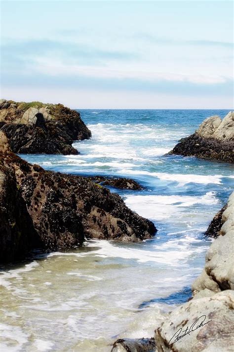 Bodega Bay Beach Photograph by Christina Ochsner - Fine Art America