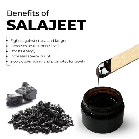 Buy Salajeet in Pakistan at The Best Price From Saughaat – Saughaat.com