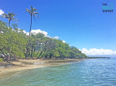 The Maui Expert — Olowalu Beach