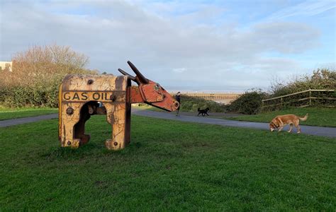 Portbury Wharf Nature Reserve - Bristol dog walk - Bristol Barkers