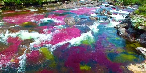 Colombia has a rainbow river called Caño Cristales - Business Insider