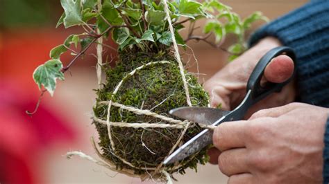 Kokedama Moss Ball Workshop - Trout Lake Community Centre