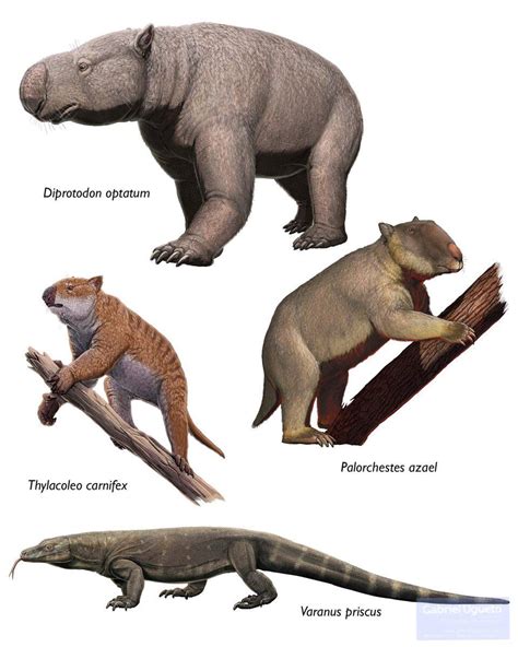 A collection of some nifty Australian megafauna: 2700 kg Diprotodon, 130 kg Thylacoleo, 1000 kg ...