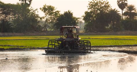 101: Agriculture in India - Sattva Consulting