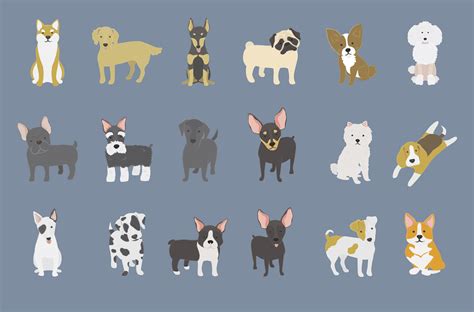 Illustration of dogs collection - Download Free Vectors, Clipart ...