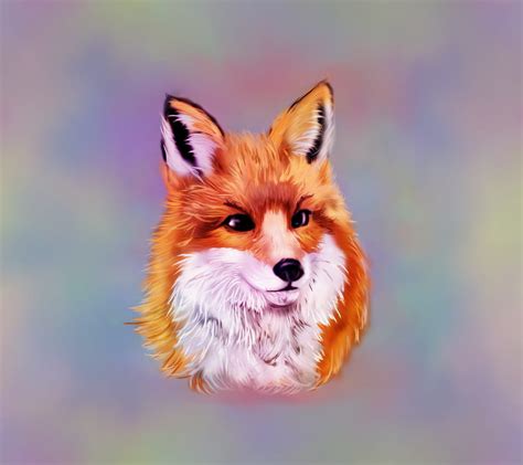 A Fox, animal, drawing, fox, HD wallpaper | Peakpx