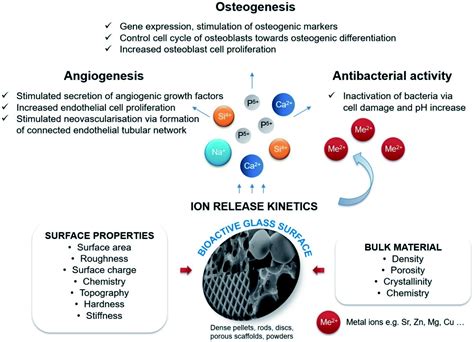 Recent advances and future perspectives of sol–gel derived porous bioactive glasses: a review ...