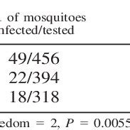 Aedes aegypti females orally infected with dengue virus compared with... | Download Table