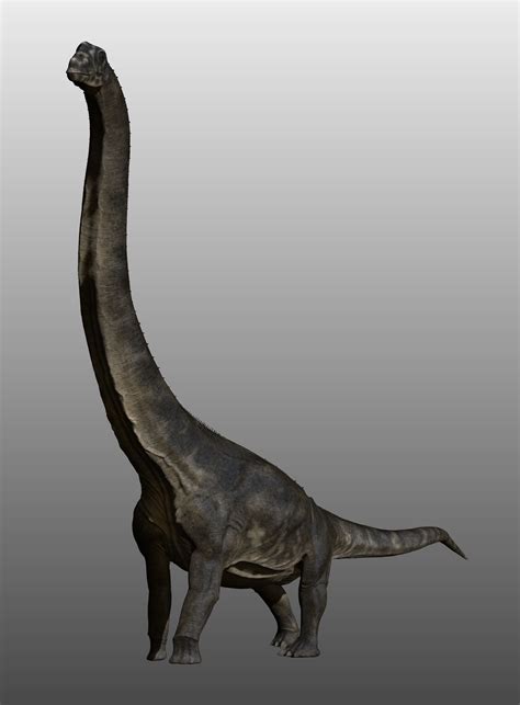 Sauroposeidon | Prehistoric animals, Prehistoric, Paleontology