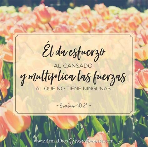 Cuando te sientas débil Lds Quotes, Bible Verses Quotes, Faith Quotes, Inspirational Quotes ...