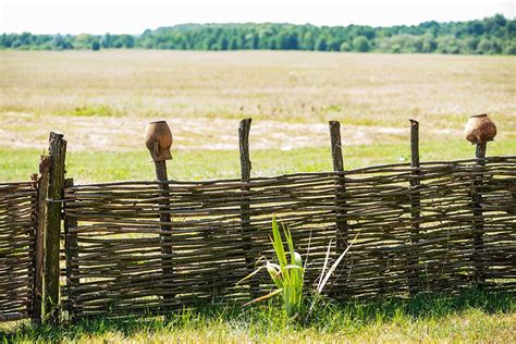 7 DIY Tree Branch Fence Plans You Can Make Today! (With Pictures) | House Grail