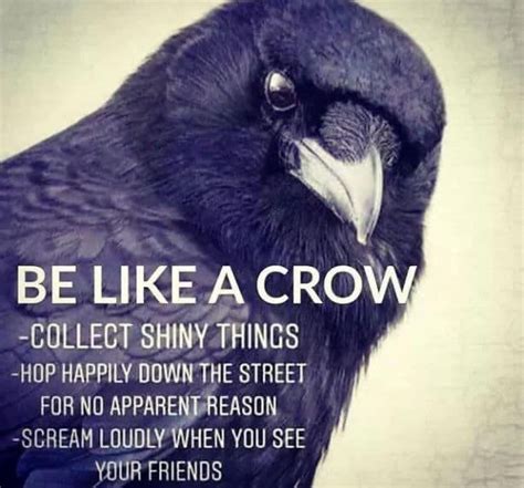 SelineSigil on Twitter | Crow, Funny quotes, Animal spirit guides