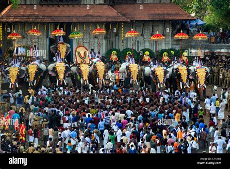 Elephant in front of the Vadakkunnathan Temple, Thrissur Pooram ...