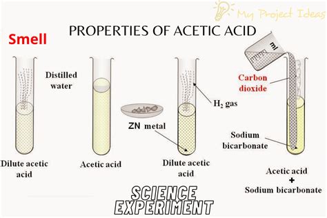 Properties of Acetic Acid | Science Experiment - My Project Ideas