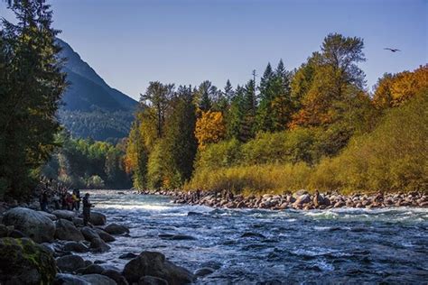 Find Nature Attractions in Rosedale BC