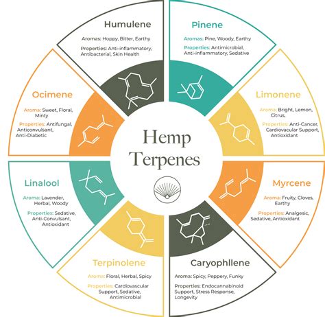 What in The World Are Terpenes? - The Hemp Source