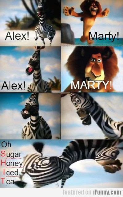 Alex! Marty! Oh Sugar Honey Iced Tea | Funny p, Funny pictures, Funny