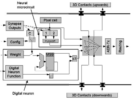 block diagram of the Neural Processing Unit with neural microcircuit,... | Download Scientific ...