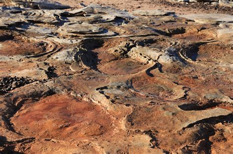 Dinosaur tracks | Roebuck Bay Working Group