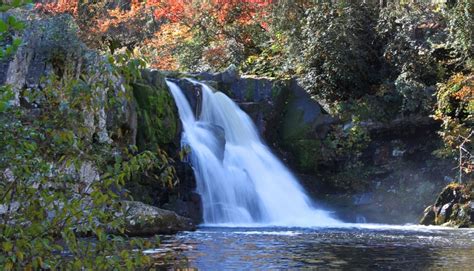 Hiking Abrams Falls - Waterfall Hike in Great Smoky Mountains National Park