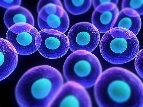 HD wallpaper: purple and blue molecules, cells, biology , science, close-up | Wallpaper Flare