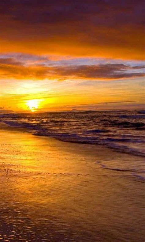 beach sunset live wallpaper APK for Android Download